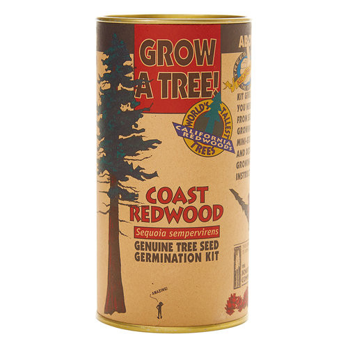Seed Grow Kit - Coast Redwood Seed Grow Kit - Coast Redwood
