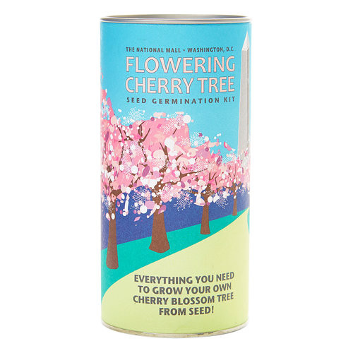 Seed Grow Kit - Flowering Cherry Blossom Seed Grow Kit - Flowering Cherry Blossom