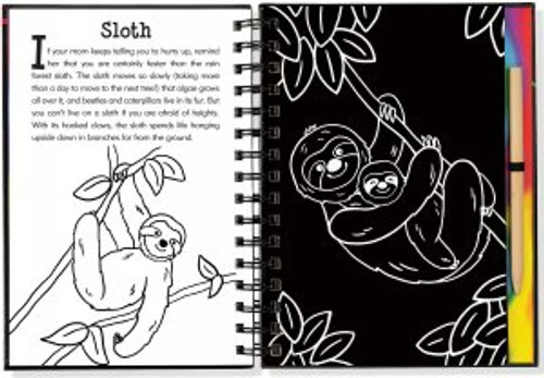Scratch & Sketch Rain Forest (Trace Along) [Book]