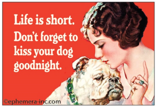 Magnet - Life is too short... Magnet - Life is too short...