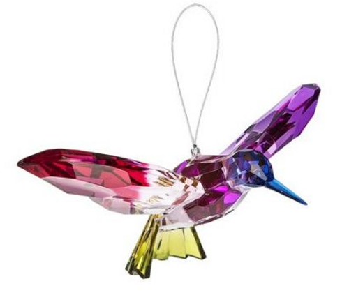 Hummingbird - Blue Head & Yellow Tail Hummingbird - Blue Head & Yellow Tail