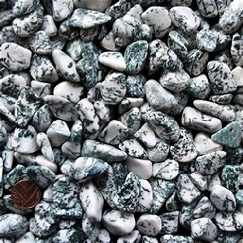 $1 Gemstone - Tree Agate $1 Gemstone - Tree Agate