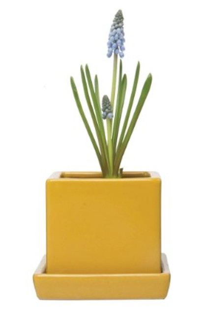 Cube Planter & Saucer - Yam