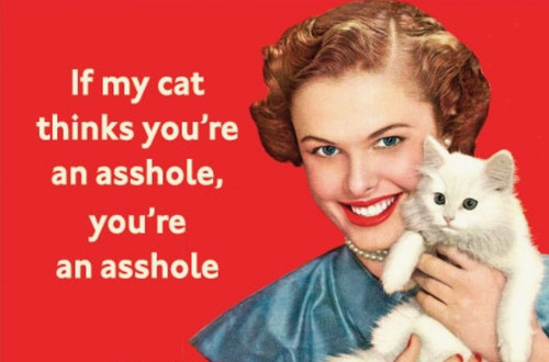 Magnet - If my cat thinks you're an asshole... Magnet - If my cat thinks you're an asshole...