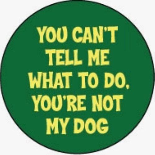 Button Magnet - You can't tell me what to do... Button Magnet - You can't tell me what to do...