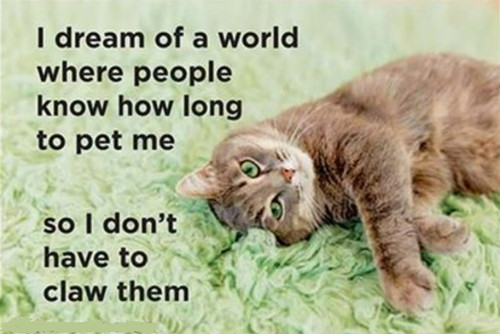 Magnet - I dream of a world... Magnet - I dream of a world...