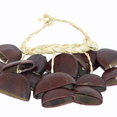 Instrument - Juju Nut Arm Shaker Instrument - Juju Nut Arm Shaker