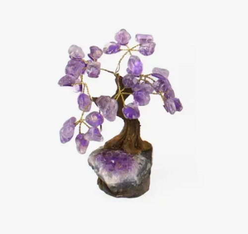 Money Tree - Amethyst Money Tree - Amethyst
