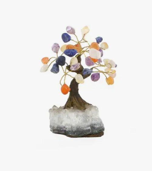 Money Tree - Mixed Stone Money Tree - Mixed Stone