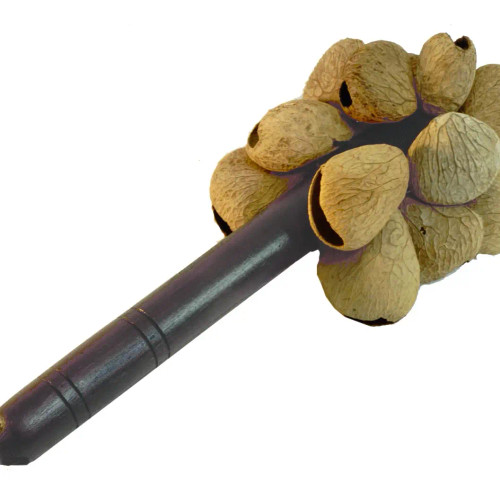 Spice Nut Shaker Instrument