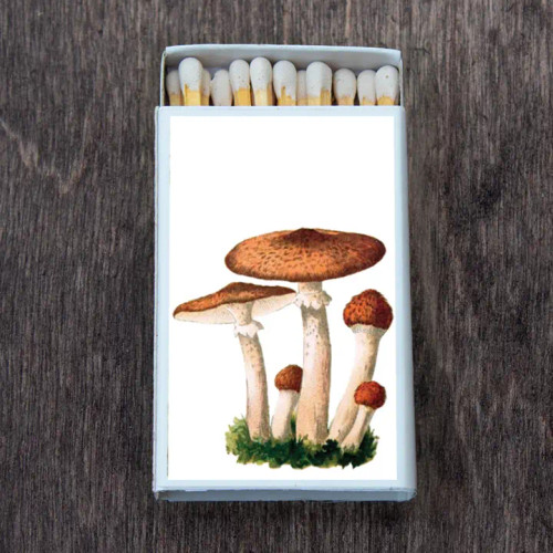 Matches - Mushroom Cluster