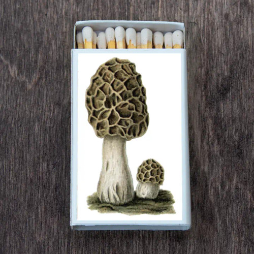 Matches - Morel Mushroom Matches - Morel Mushroom