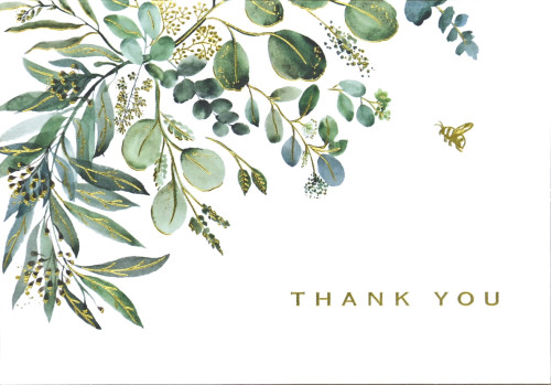 Thank You Note Cards - Eucalyptus