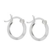 Earrings/Hoops - Small w/ Hinge