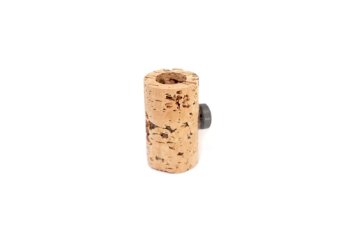 Air Plant/Cork Magnet