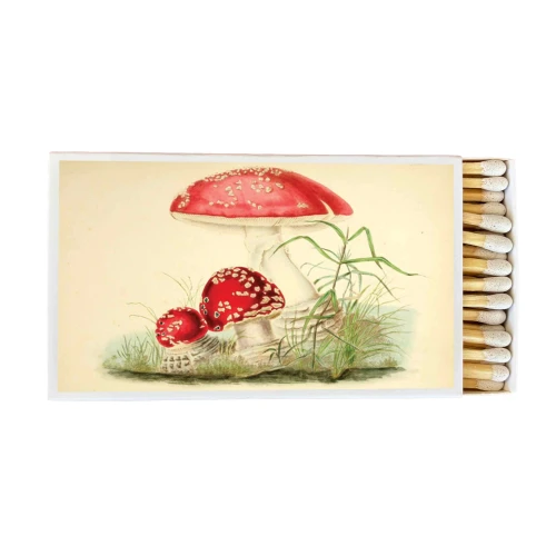 Matches/Candle - Toadstool Mushroom