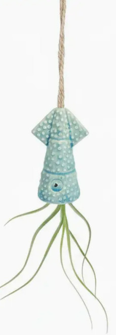Air Plant w/ Squid - Blue