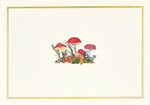 Note Cards - Woodland Mushrooms