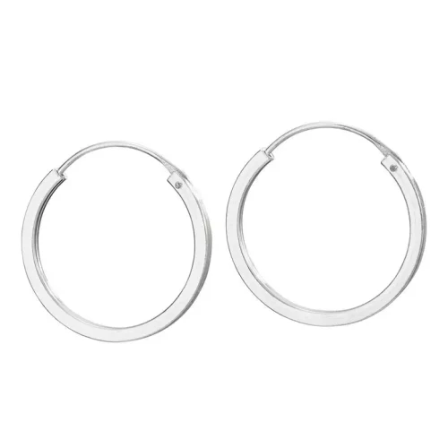 Earrings - Brookline Hoops