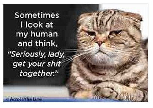 Magnet - Sometimes I look at my human...