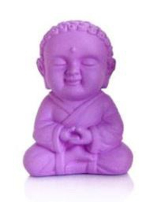 Pocket Buddha - Wisdom