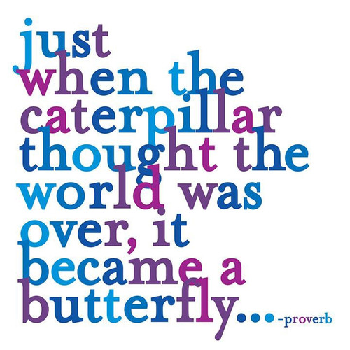 Magnet - just when the caterpillar... Magnet - just when the caterpillar...