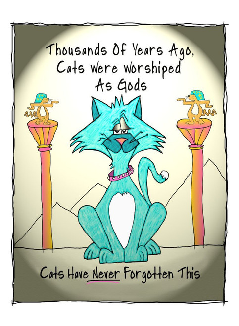 Cats Cats