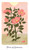 Tarot - Harmony Tarot Tarot - Harmony Tarot