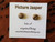 Gemstone Earrings - Picture Jasper/Cabochon/8mm Gemstone Earrings - Picture Jasper/Cabochon/8mm