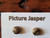 Gemstone Earrings - Picture Jasper/Cabochon/8mm Gemstone Earrings - Picture Jasper/Cabochon/8mm