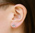 Earrings/Post - Gingko Earrings/Post - Gingko