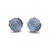 Earrings/Post - Echeveria Earrings/Post - Echeveria