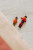 Guatemalan Worry Dolls Guatemalan Worry Dolls