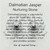 Gemstone Earrings - Dalmatian Jasper/Polished Raw Gemstone Earrings - Dalmatian Jasper/Polished Raw