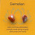 Gemstone Earrings - Carnelian/Raw Gemstone Earrings - Carnelian/Raw