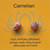 Gemstone Earrings - Carnelian/Raw Gemstone Earrings - Carnelian/Raw