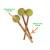 Lollies - Silvervine Stick w/ Catnip Lollies - Silvervine Stick w/ Catnip