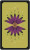 Oracle - Secret Oracle of the Green Witch Oracle - Secret Oracle of the Green Witch