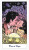 Tarot - Cosmic Tarot Tarot - Cosmic Tarot