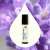Essential Oil Roll-On/Lavender