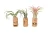 Air Plant/Cork Magnet