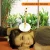Ear Candle Protective Disc