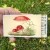 Matches/Candle - Toadstool Mushroom
