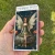 Matches/Candle - Fairy