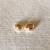 Ring/Gold/Hoop - Clicker Hoop Earrings
