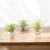 Mini Air Plant Stand