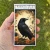 Matches/Candle - Raven