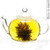 3 Flowering Tea - Oolong Mystere 3 Flowering Tea - Oolong Mystere