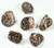 $1 Gemstone - Leopard Skin Jasper $1 Gemstone - Leopard Skin Jasper