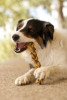 Redbarn 7" Braided Bully Sticks